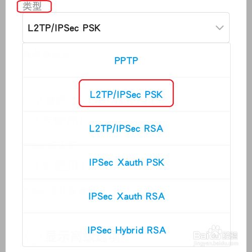 在类型处--选择L2TP协议。