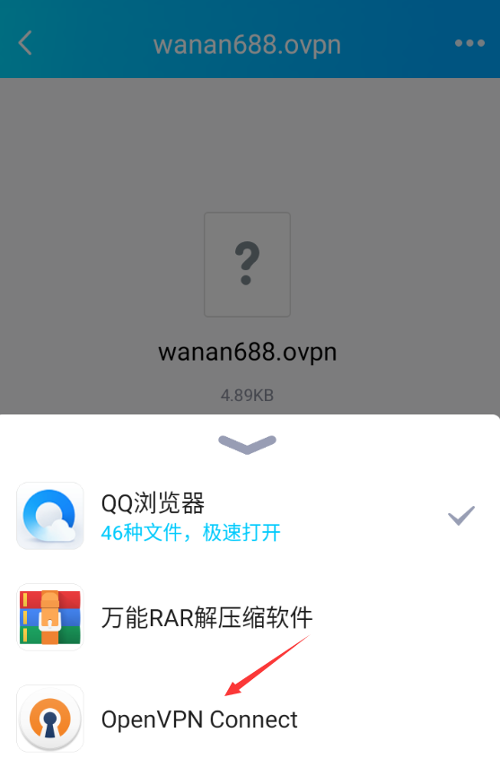 点击此配置文件用openvpn打开  或  点击软件上的 “ UPLOAD FILE ”并点击“ BROWSE ”找到配置文件中的路径