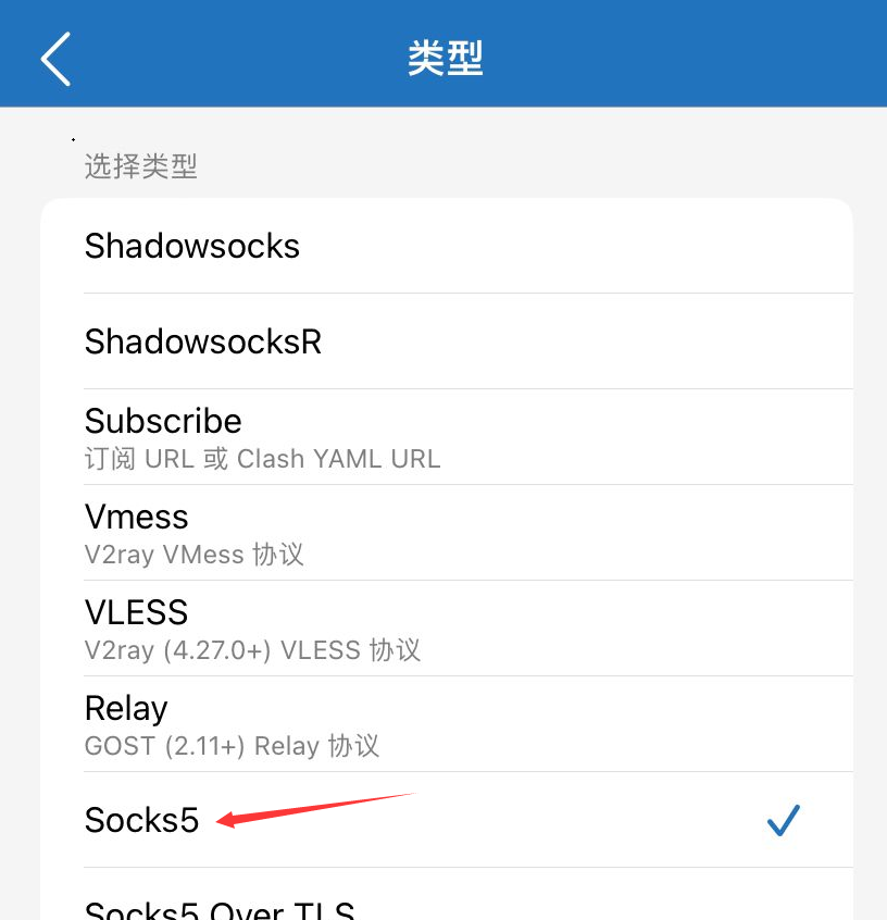 类型 选择socks5