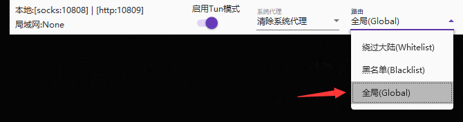 2. 软件底部会出现 启用Tun模式 字样